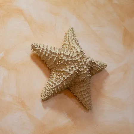 La Veguilla Junior Apartament Alhama de Aragón