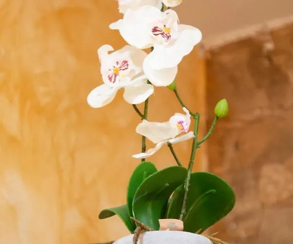 La Veguilla Junior Alhama de Aragón